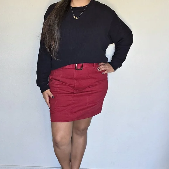 NWT Banana Republic Zipper Front Skirt Size 12 - Picture 4 of 7